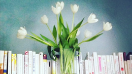 tulips bookshelf crop