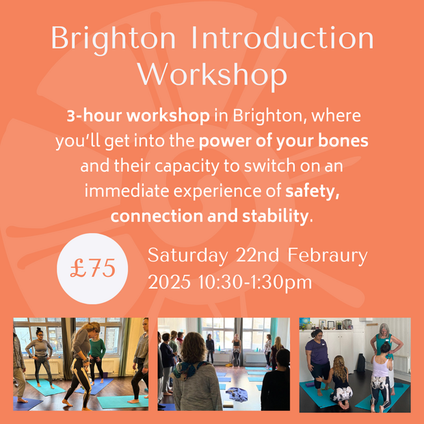 brighton workshop