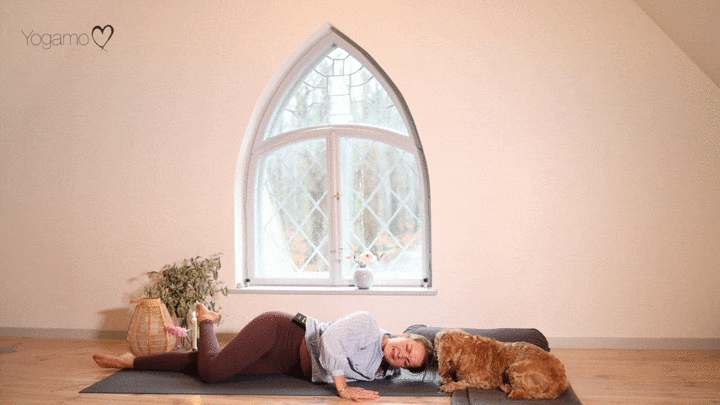 Grounde ind i vintermørket