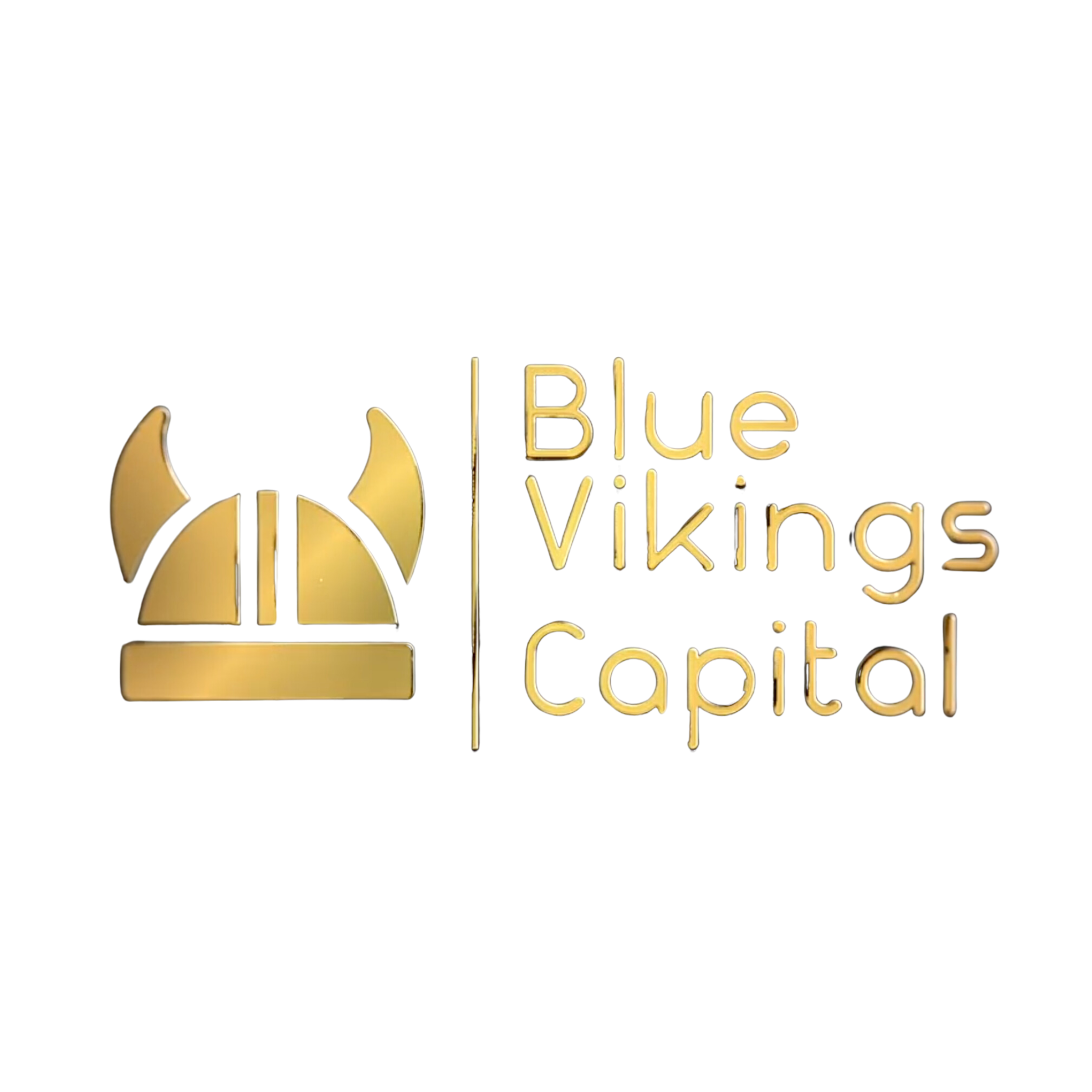 Blue Vikings Capital logo