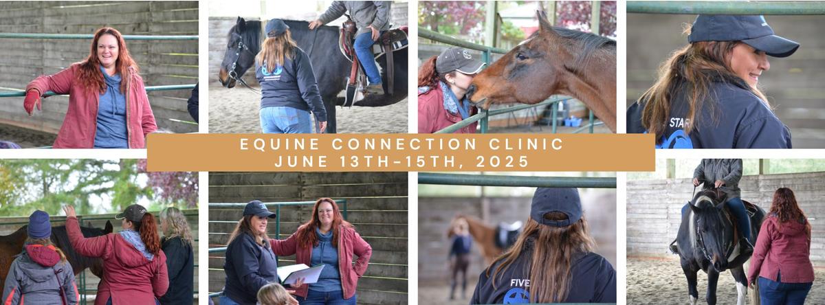 equine-Connection-clinic-june