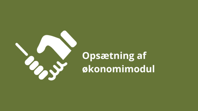 Modul 2 - Opsætning af økonomimodul