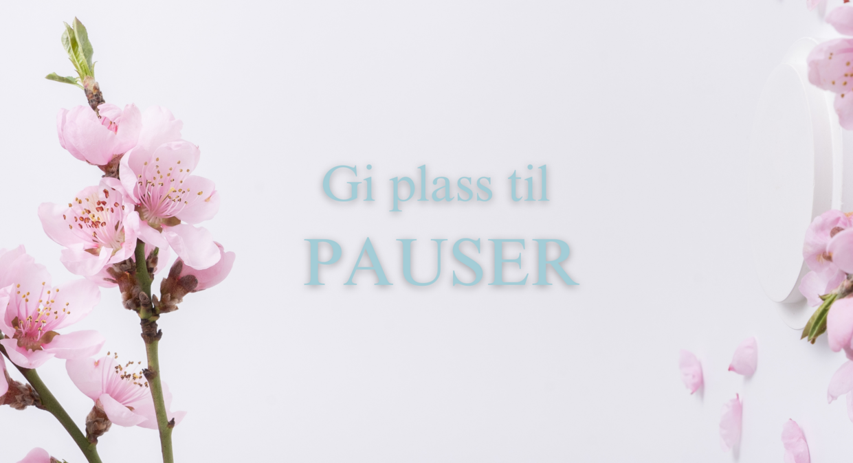 Card Image Kurs (22)