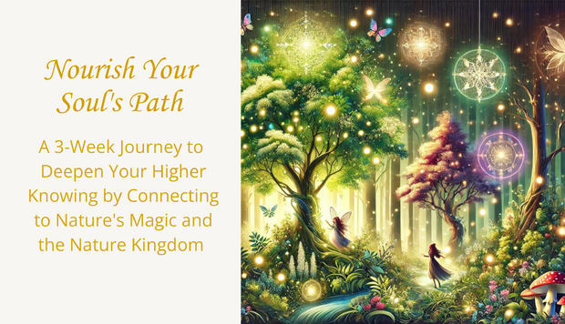 Nourish Your Soul's Path