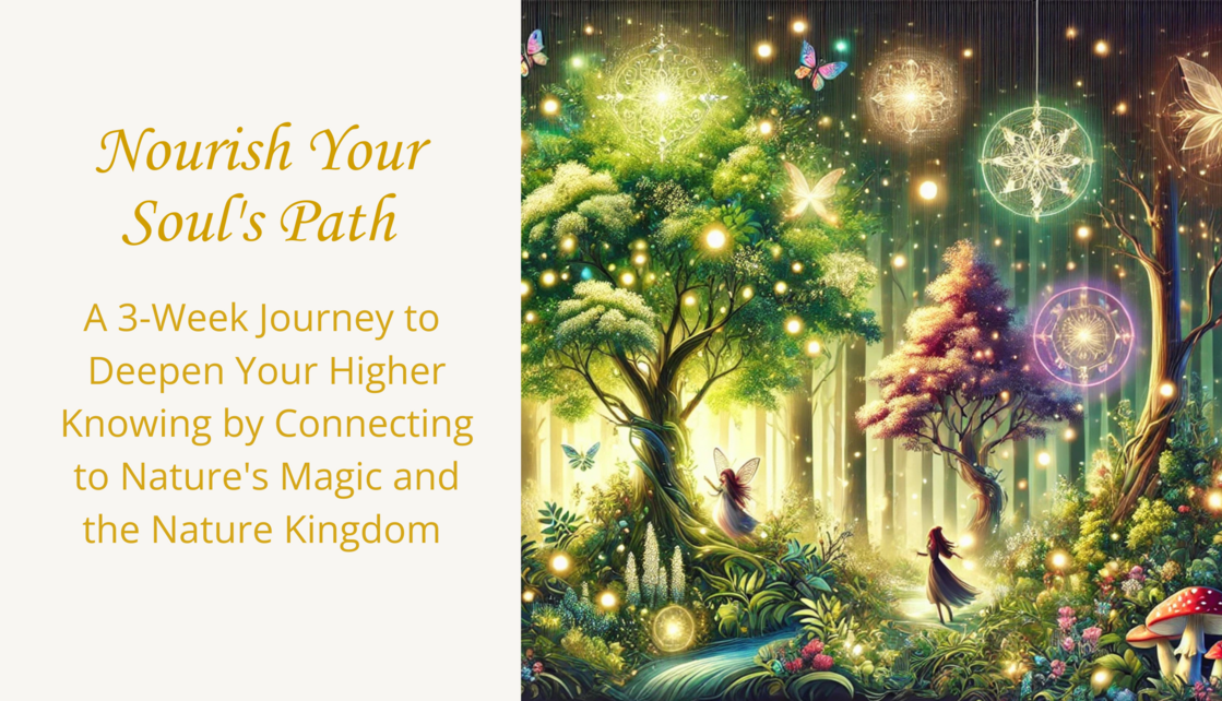 Nourish Your Soul's Path
