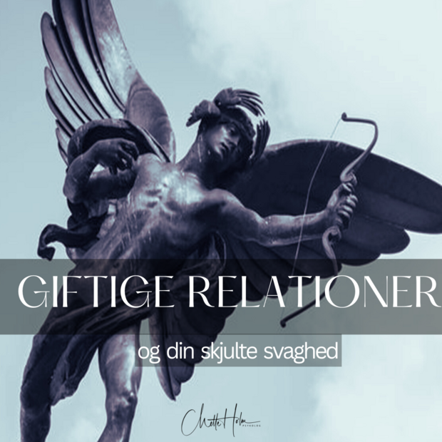 Giftige relationer online foredrag 