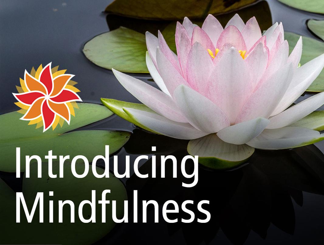 introducing-mindfulness