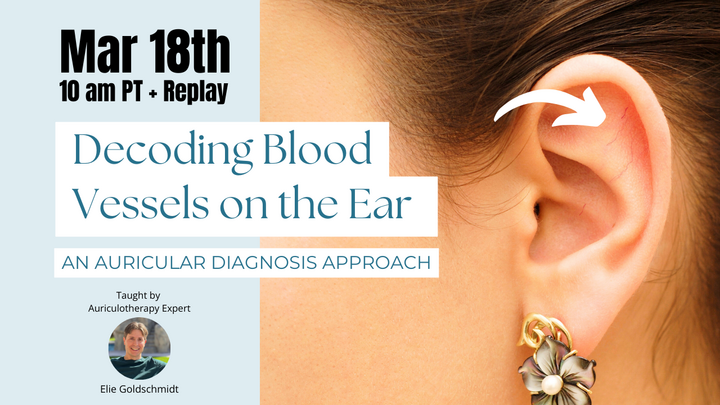 Decoding Blood Vessels Auricular Dx Class Mar 18th