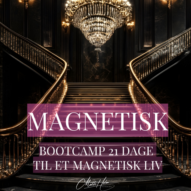 Magnetisk Bootcamp