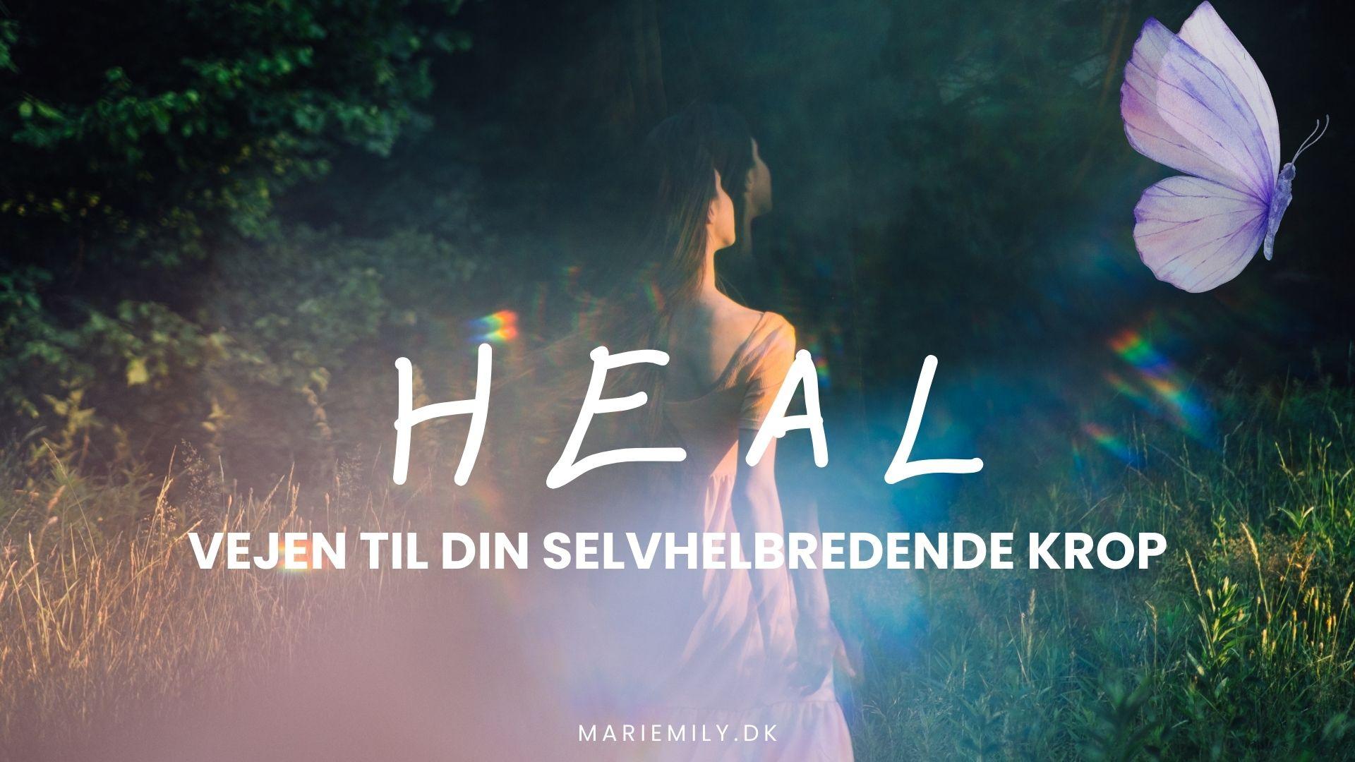 HEAL (Præsentation) (2)