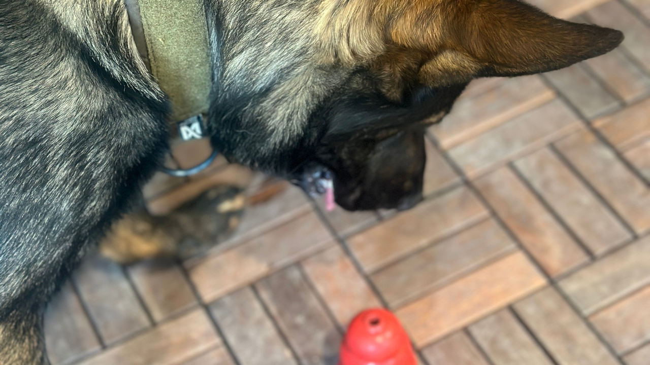 Pink and Purple Colorful Abstract Money Finance YouTube Thumbnail 