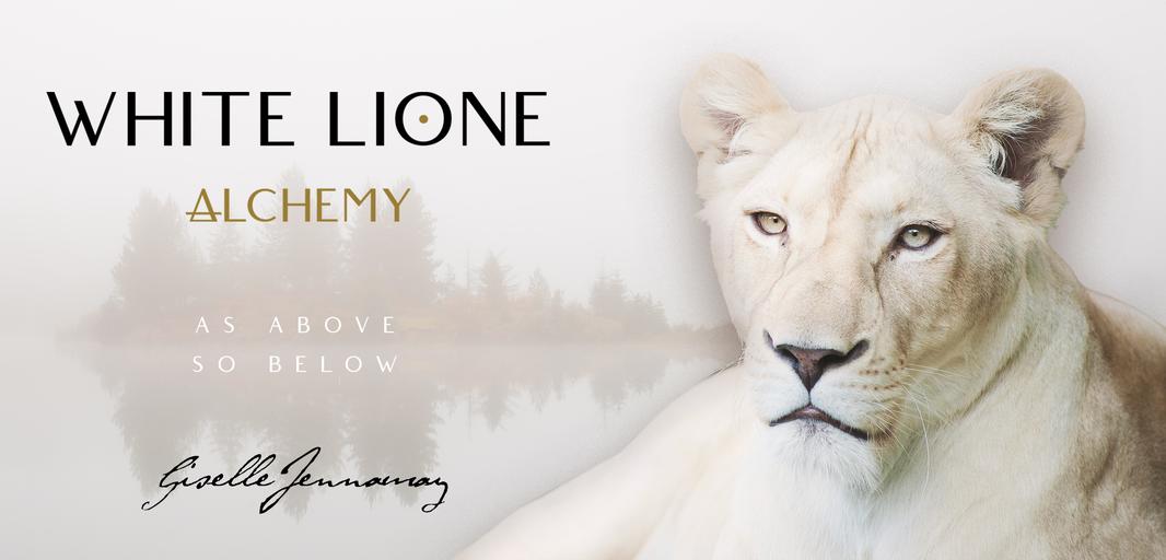 WLA Hero Lioness 02