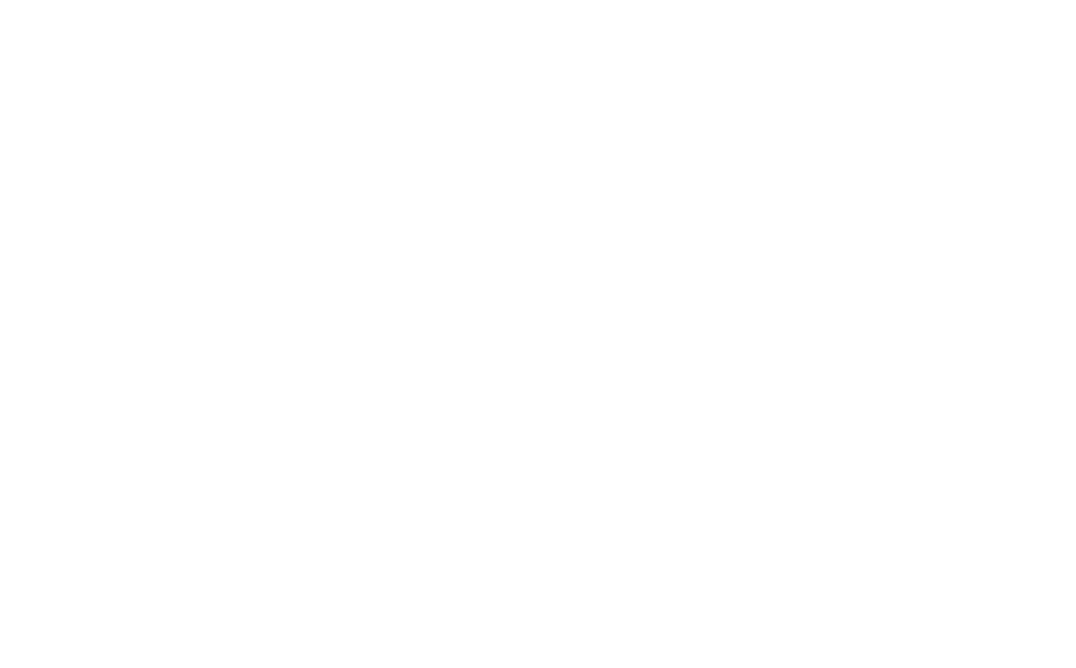 Your Logo