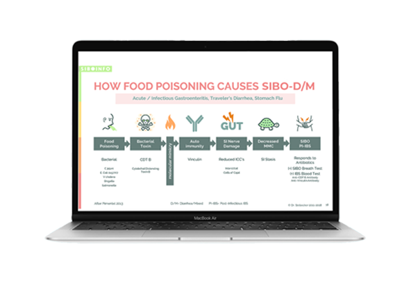 Finding Your Underlying Cause of SIBO