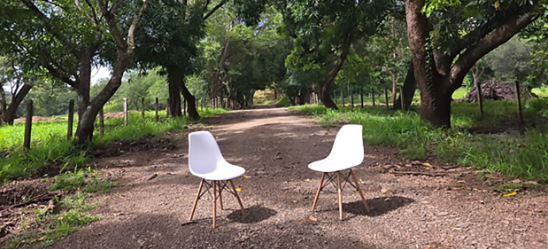 Bioregioning - pic edward