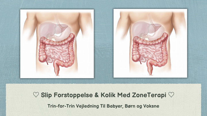 169  ♡Forstoppelse ♡ Kolik ♡ Mavesmerter♡[E-Bog Salg 01.11.2024]  (Præsentation)