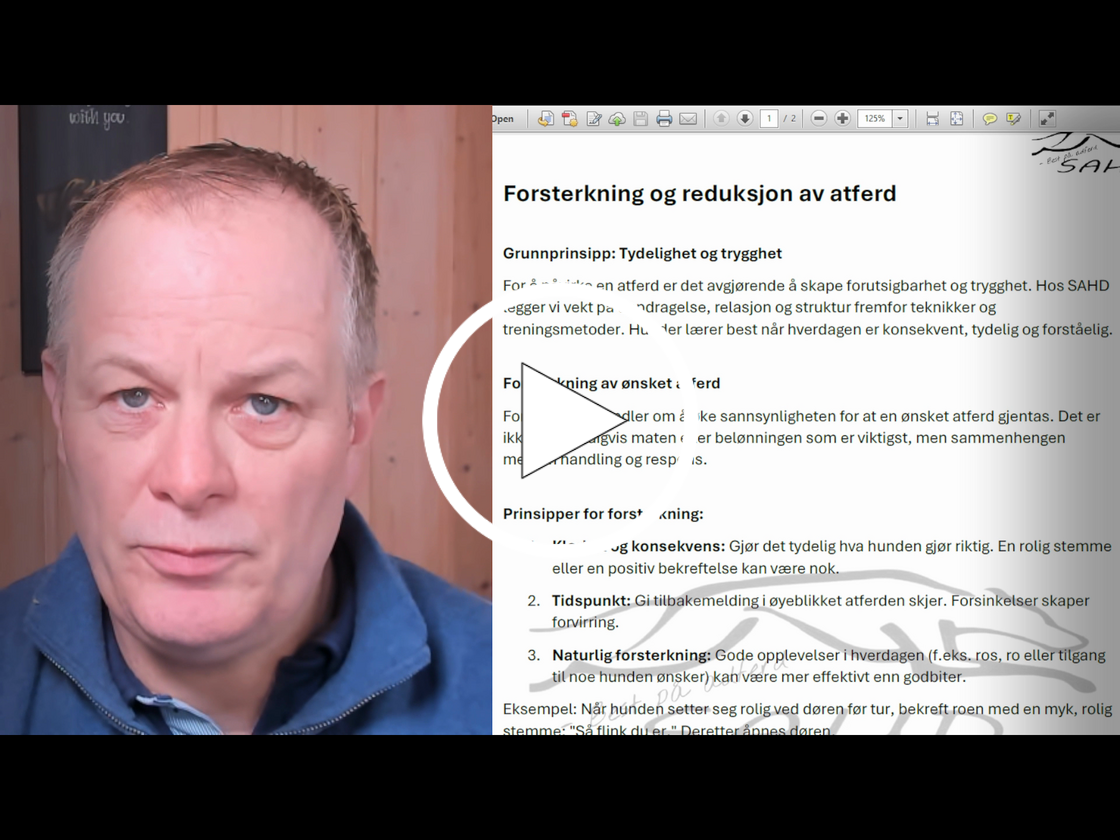 Forsterkning og reduksjon avadferd - ferdig film