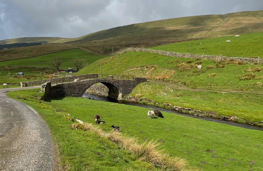 Formed Sheep Sheep-formed landscapes and buildings Yorkshire Treasures