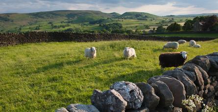 Wharfedale by Paul Harris