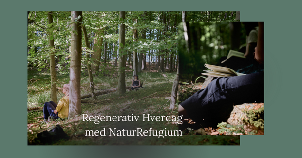 Natur illustrationer-5