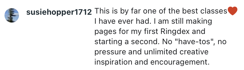 RingDex Testimonial Susie H 2