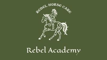 Everything is connected