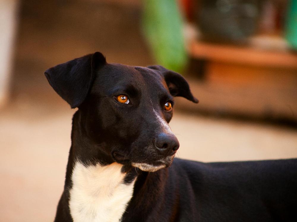 pexels-wandfotografia-10000981-edited-edited