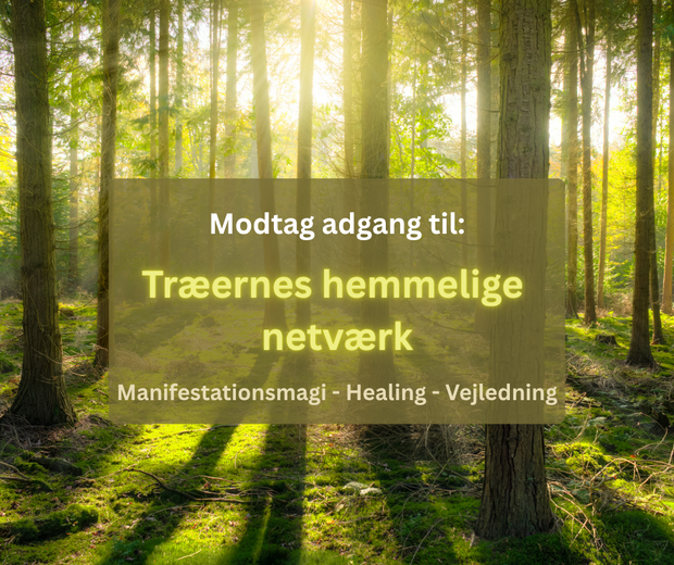 Træerne (Facebook Post)