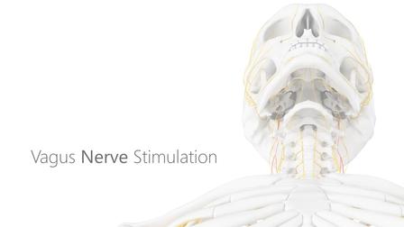Vagus Nerve Thumbnail