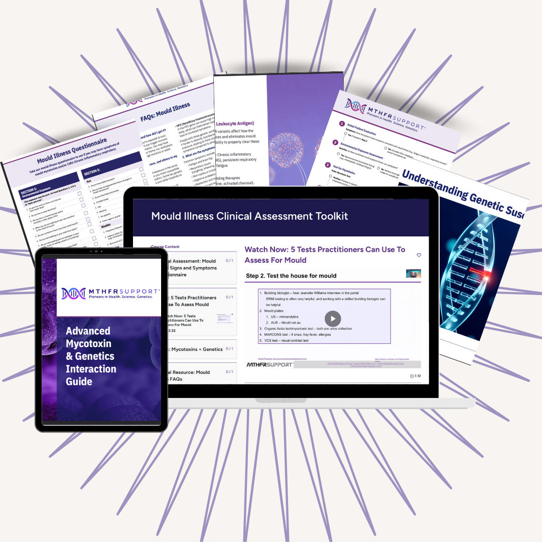 Mould toolkit mock up