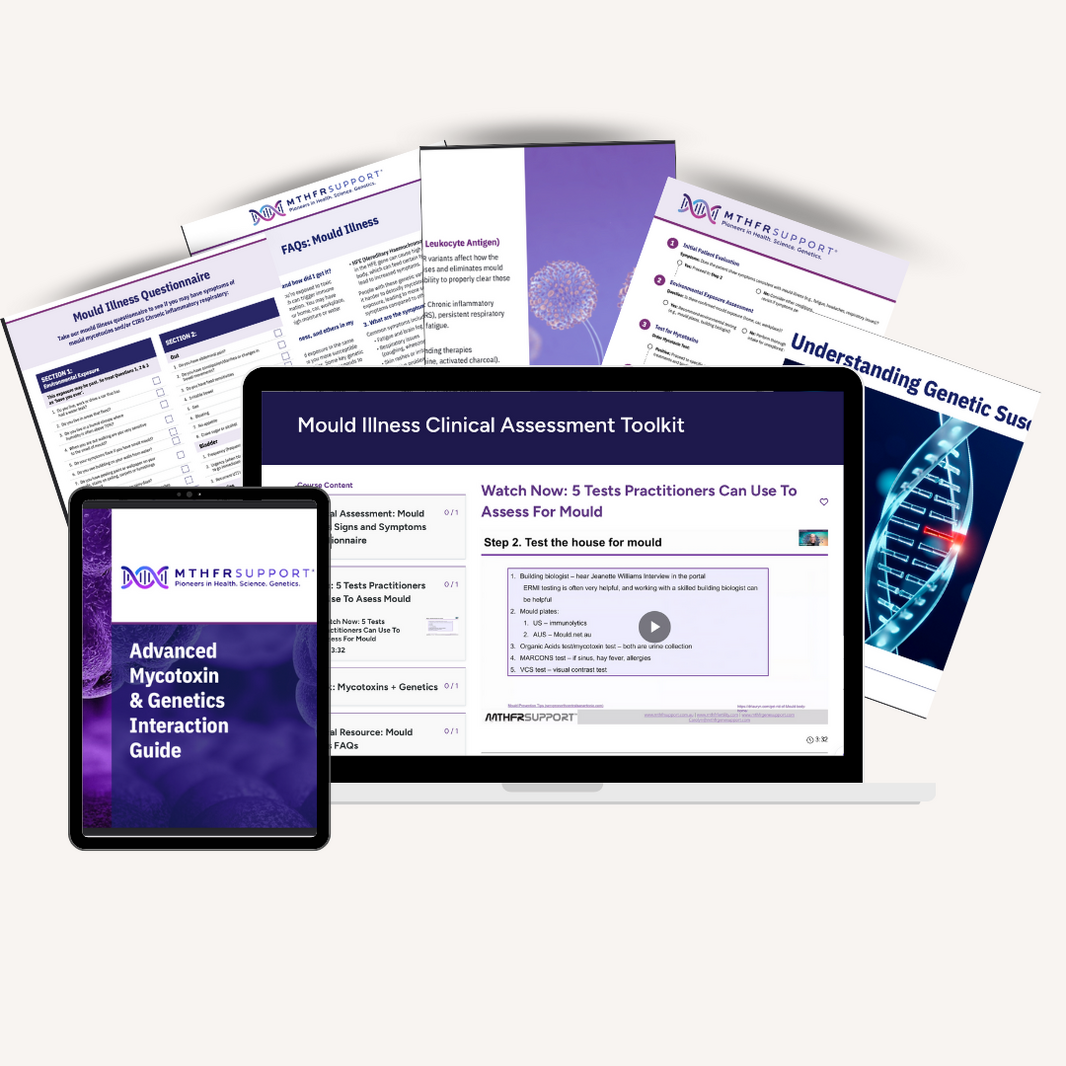 Mould toolkit mockup - no background