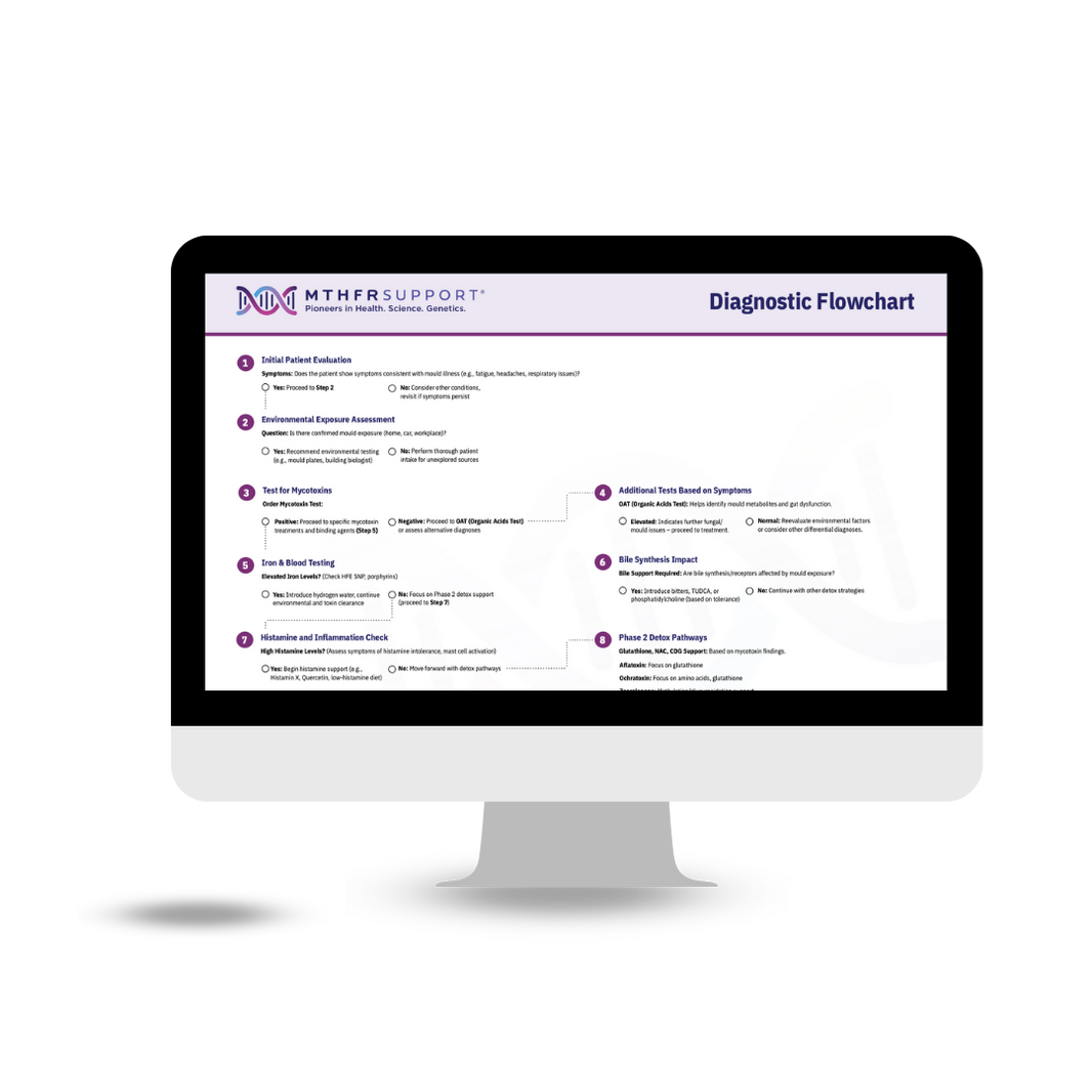 Mould- Flowchart- TRANSPARENT