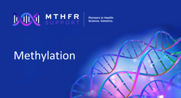 Methylation