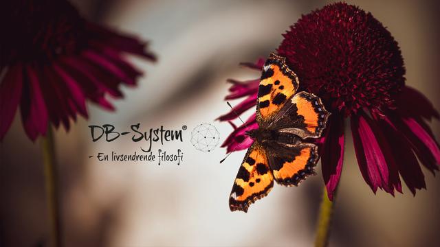 Coverbilde DB-System En livsendrende filosofi - sort
