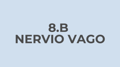 LECCIONES AS (9)