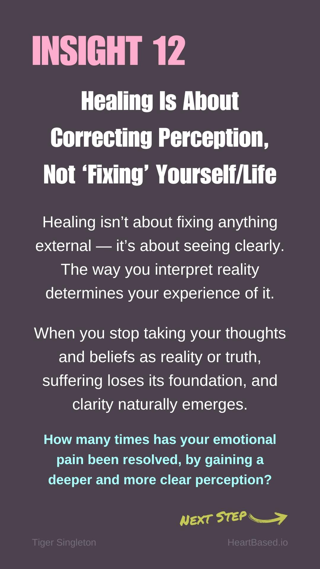 BIG12 Real Emotional Healing is a Journey of Healing Perception