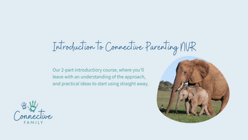 Introduction to Connective Parenting NVR
