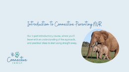 Introduction to Connective Parenting NVR