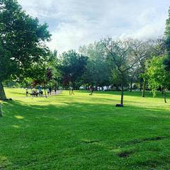 photo-1588584175565-1c711c7f7989