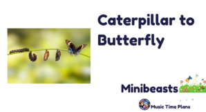 Caterpillar to Butterfly