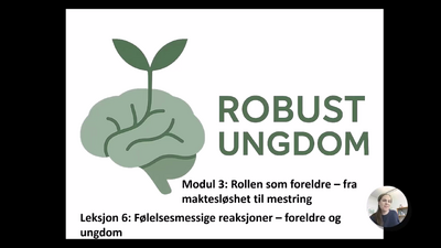 3.6 Følelsesmessige reaksjoner