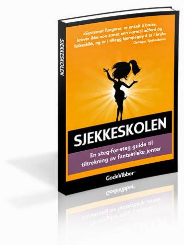 sjekkeskolenbokbackup