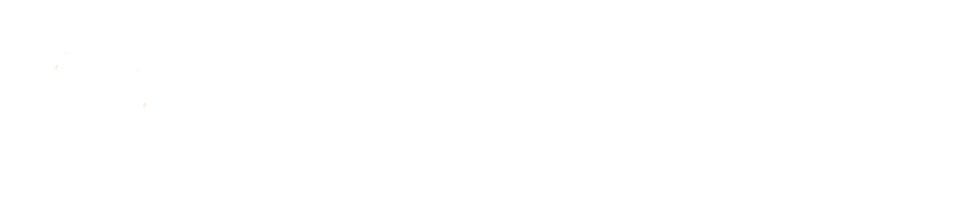 SFFP logo full white