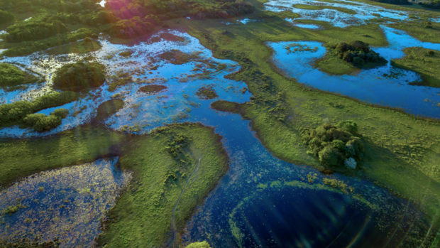 Brand Marsh