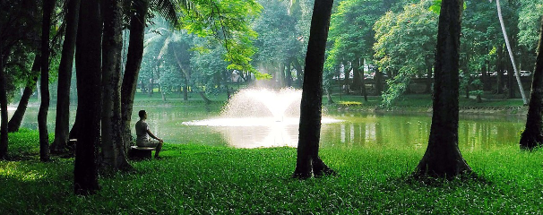 Connecting Roots - chapt 03 v2