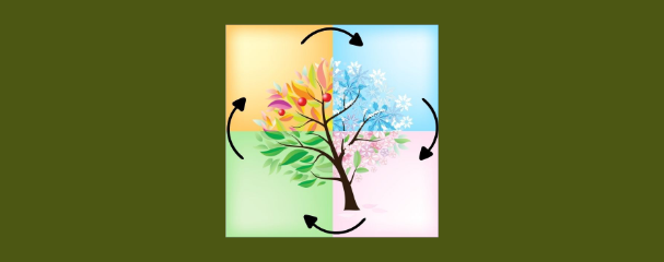 Connecting Roots - chapt 04 v2