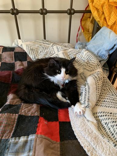 71995277641__262BD7E9-2851-4353-8F8D-79566A6A0775