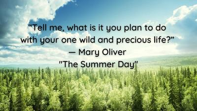 Goal Planning Why Is it worth it to write down our Goals Mary-Oliver-Quote-5-1536x864