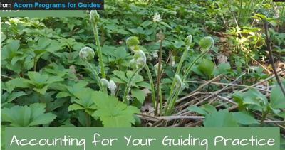 Accounting for your guiding Practice