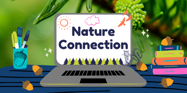 Simplero Catalog Image Cards-5